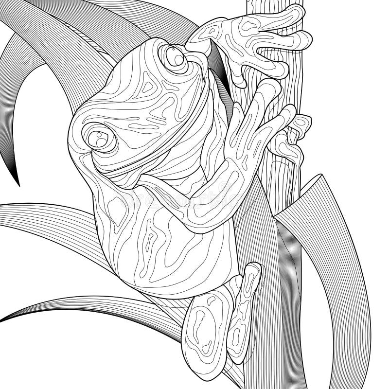 Tree frog coloring stock illustrations â tree frog coloring stock illustrations vectors clipart