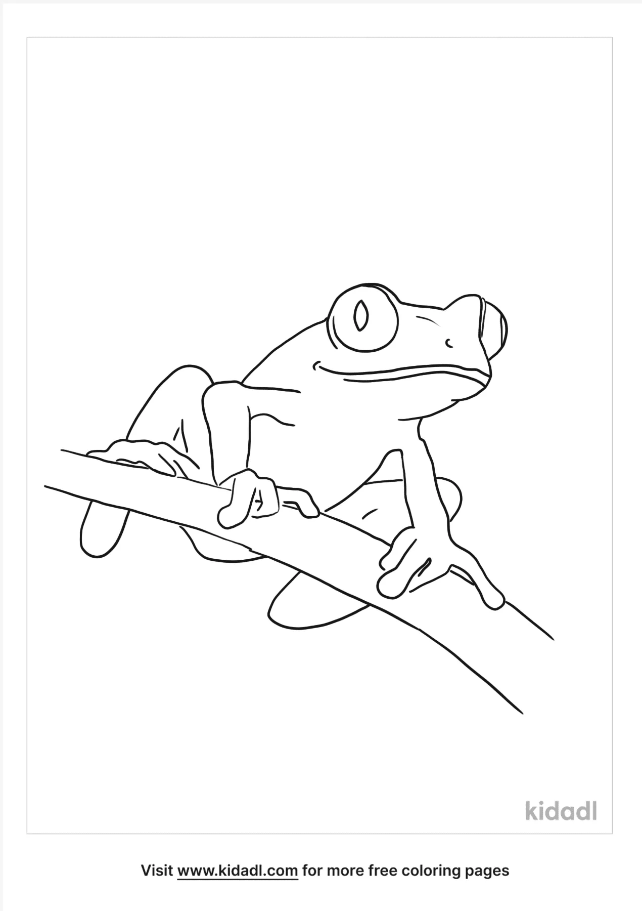 Free red eyed tree frog coloring page coloring page printables