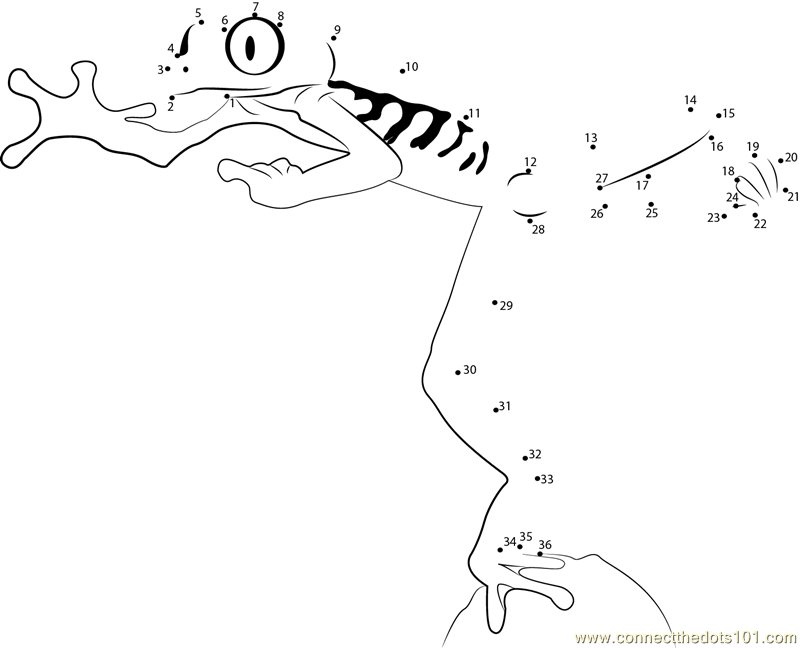Red eyed tree frog jump dot to dot printable worksheet