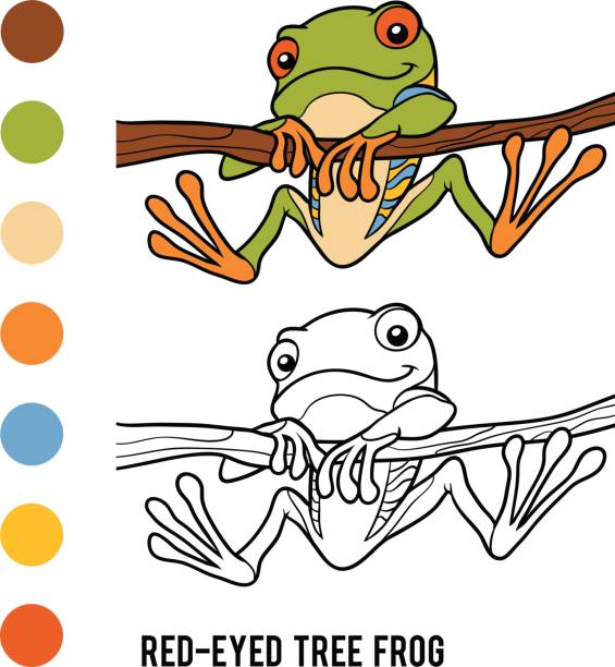Jungle coloring pages stock illustrations royalty