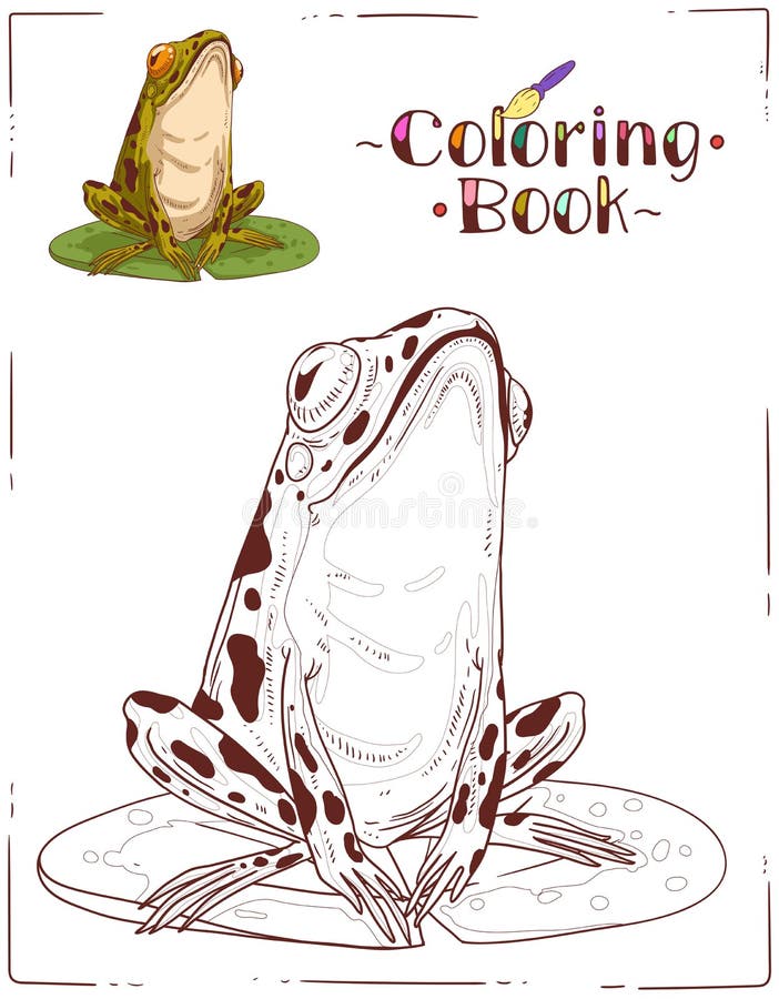 Frog coloring sheet stock illustrations â frog coloring sheet stock illustrations vectors clipart