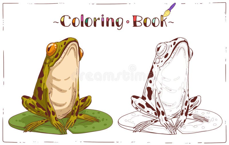 A frog coloring sheet outline picture of a toad on a round lily pad stock vector