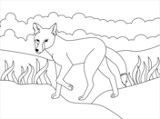 Jackals coloring pages free coloring pages