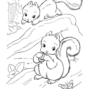 Squirrel coloring pages printable for free download