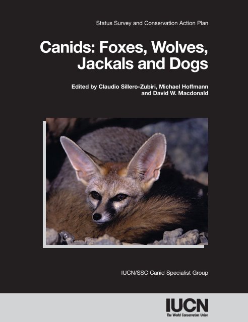 Canids foxes wolves jackals and dogs