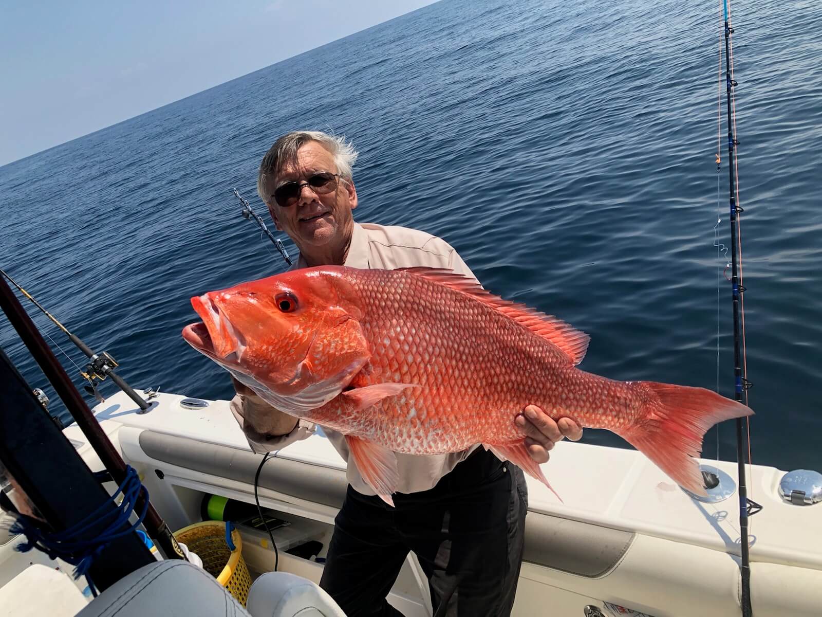 Snapper species whats the difference