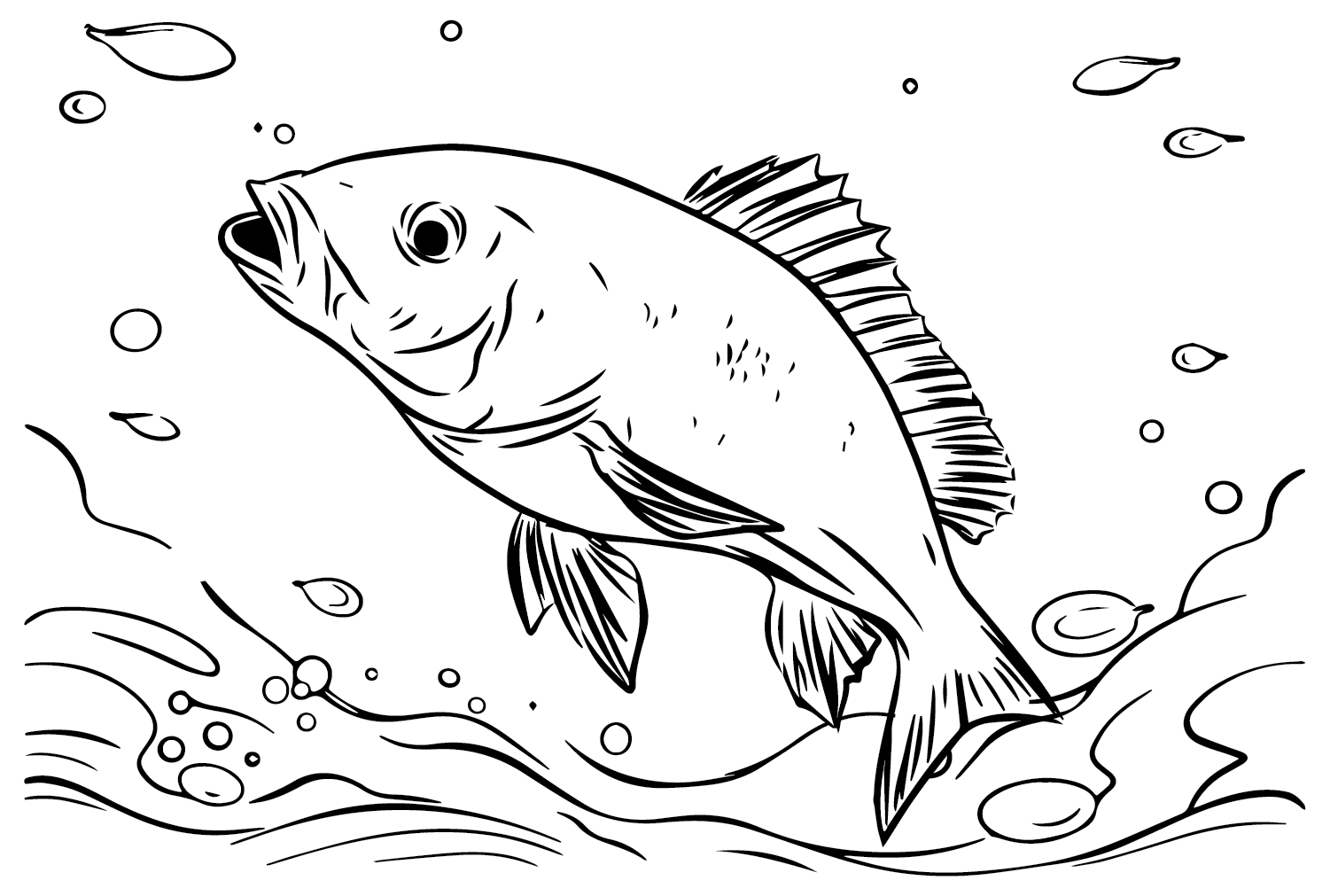 Snapper coloring pages