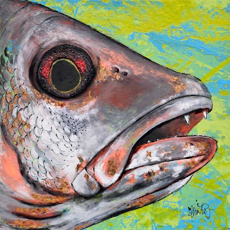 Majestic mangrove snapper â art by christy