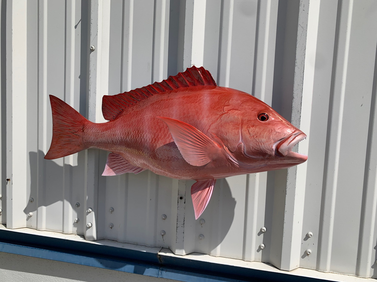 Inch red snapper fish mount replica reproduction for sale