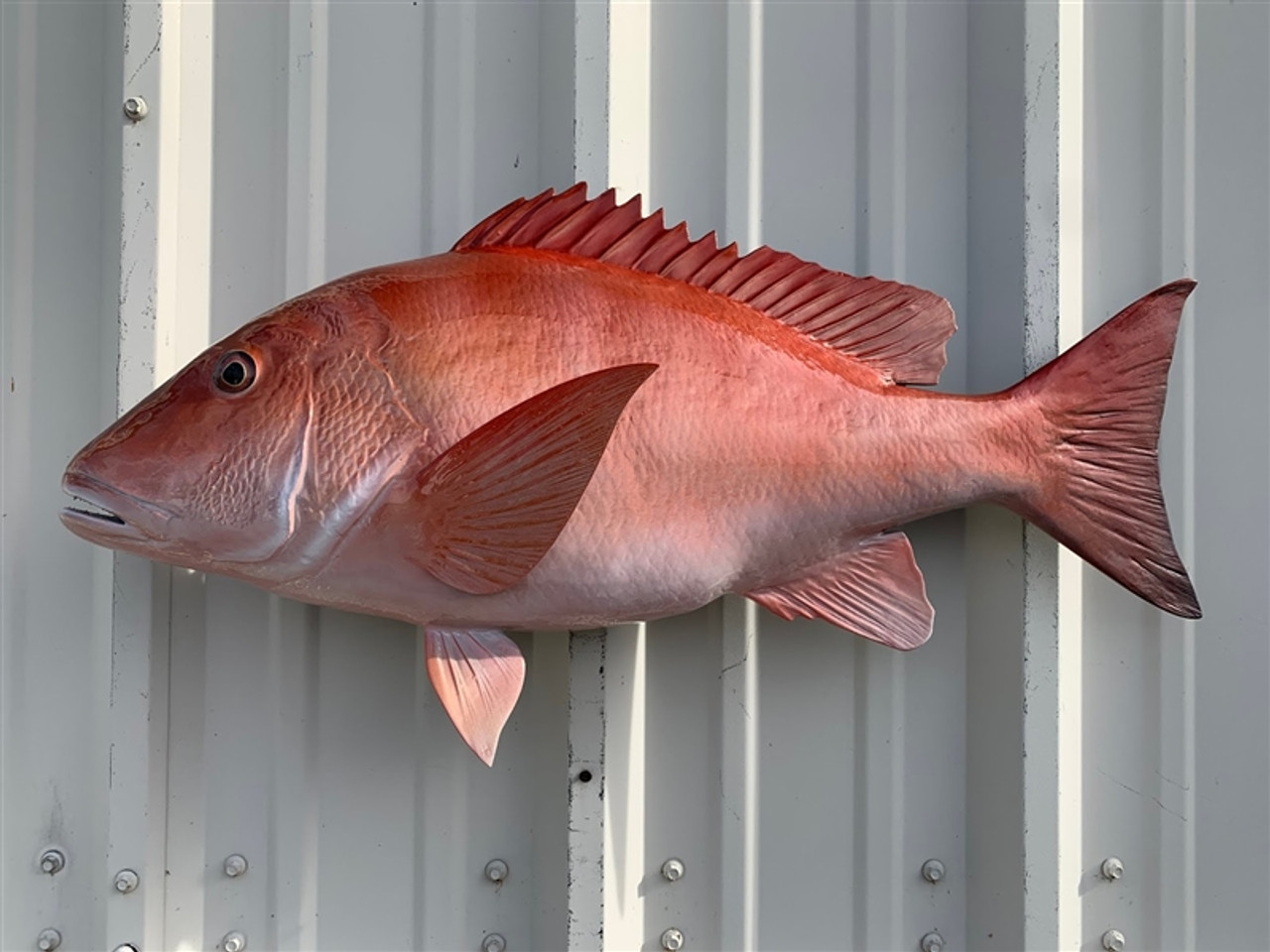 Inch red snapper fish mount replica reproduction for sale