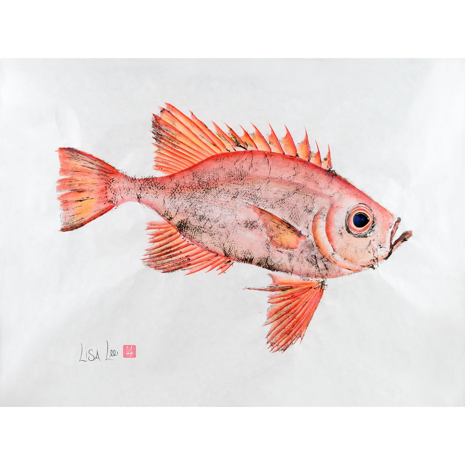 Toro snapper original â gyotaku by lisa lee