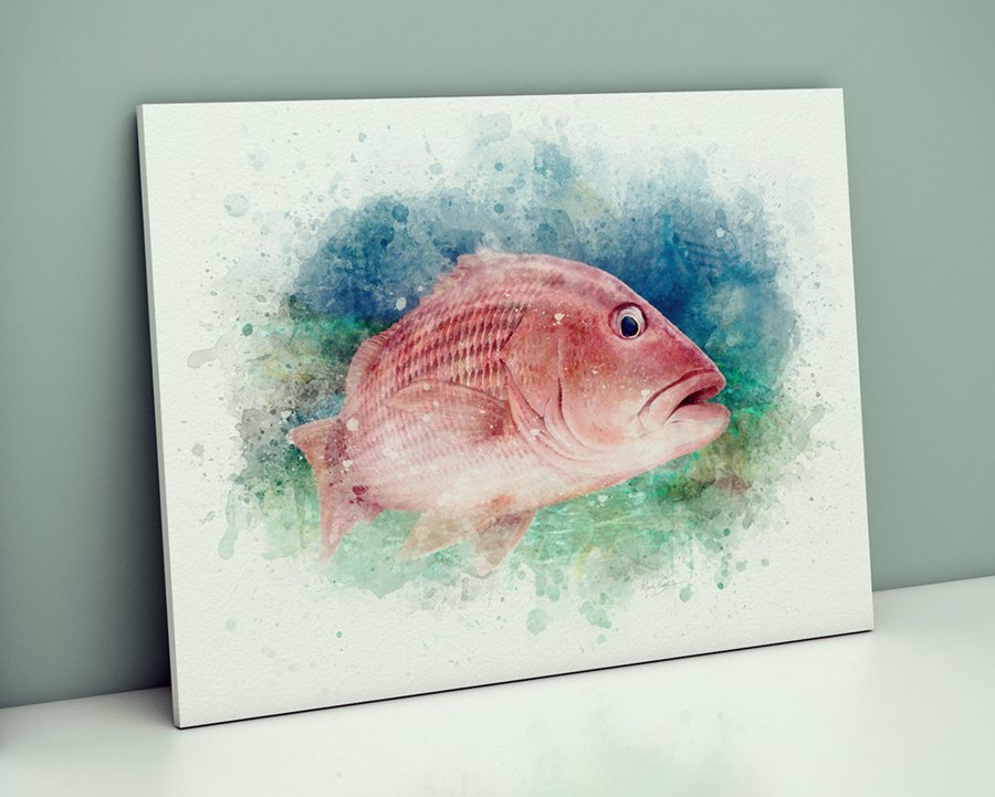 Red snapper art print from marine life artist mark erickson