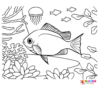 Coloring pages for kids and adults coloring pages free printable coloring pages coloring pages for kids