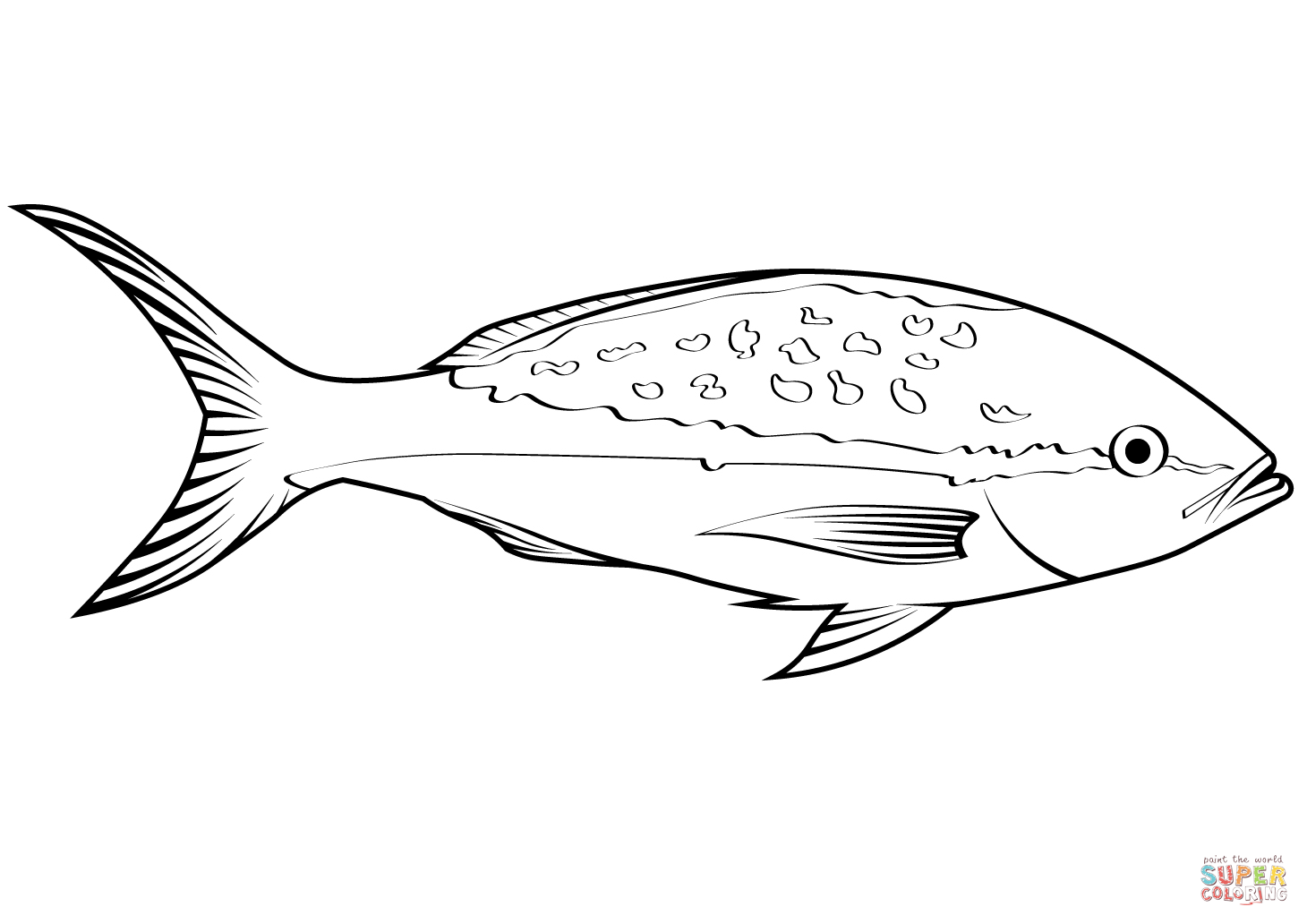 Yellowtail snapper ocyurus chrysurus coloring page free printable coloring pages