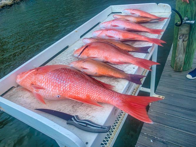 Targeting red snapper on floridas emerald coast fishing