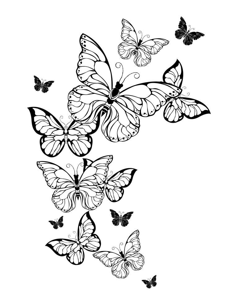 Butterfly coloring pages butterfly coloring book for adults