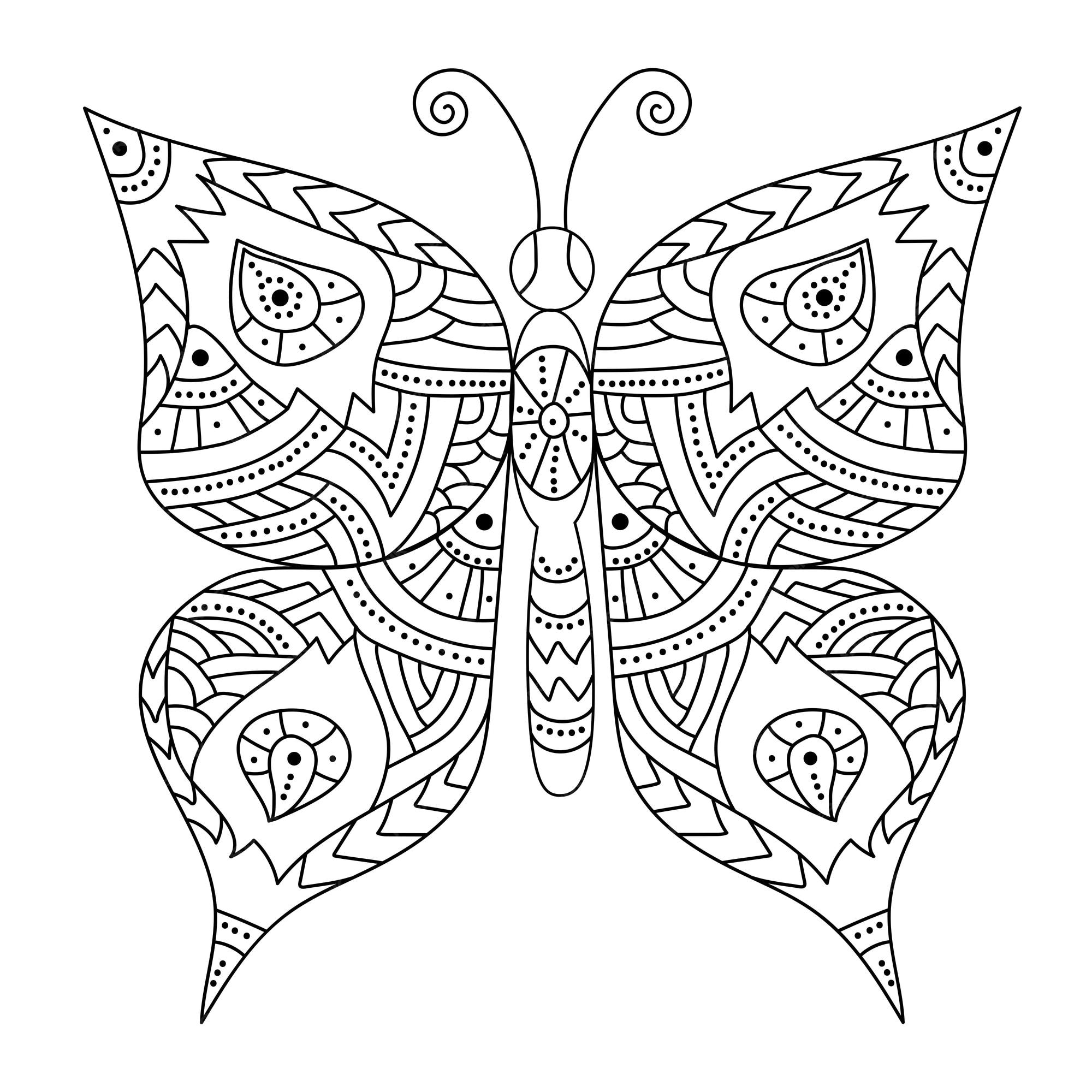 Premium vector butterfly coloring page in zentangle style