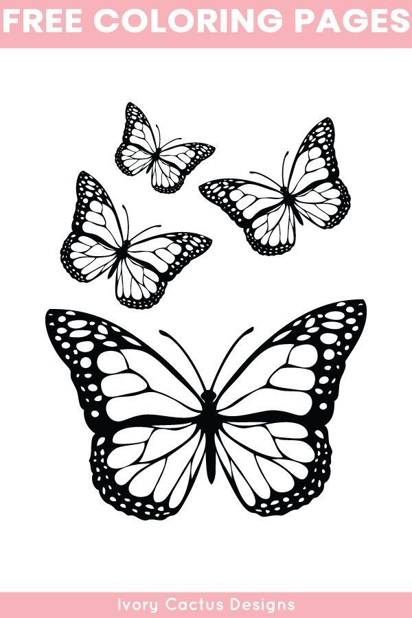Free printable butterfly coloring pages for adults coloringpages freeprintable butteâ desenhos tatuagens borboleta borboletas para colorir estãªncil borboleta