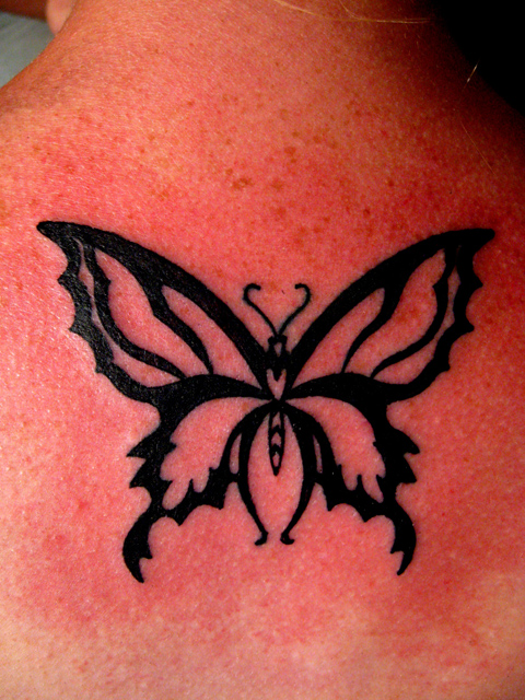 Butterfly outline by superchickenn on