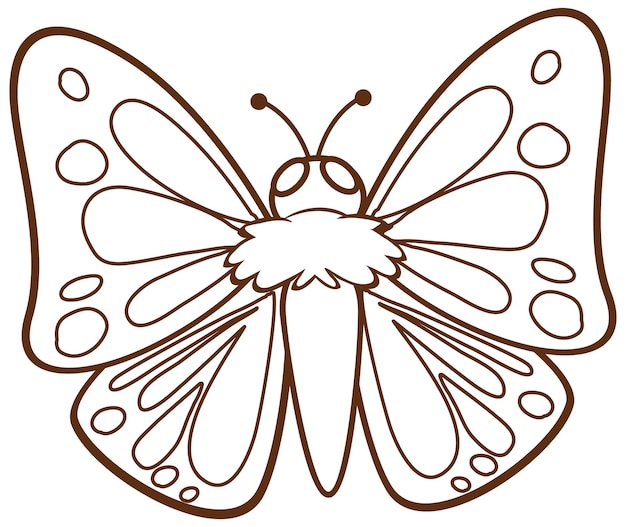 Butterfly coloring page vectors illustrations for free download