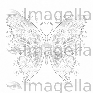 Butterfly tattoo