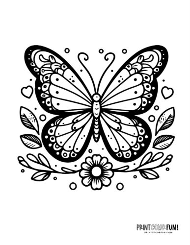 Butterfly coloring pages clipart collection with both easy plex designs at