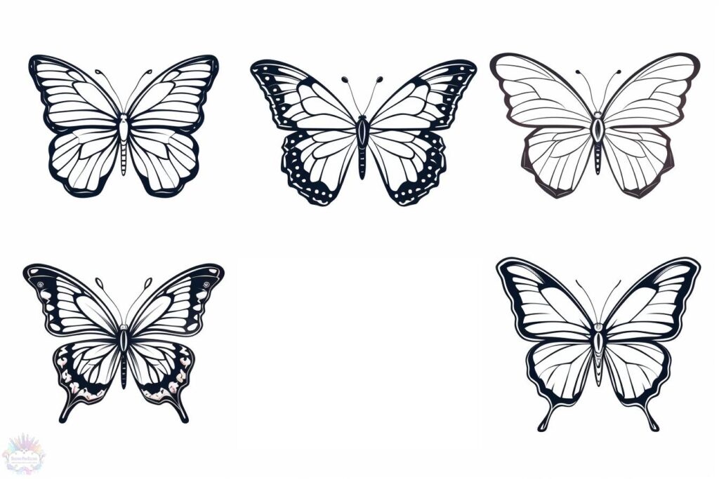 Butterfly coloring pages