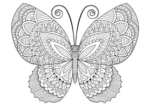 Zentangle butterfly images â browse photos vectors and video