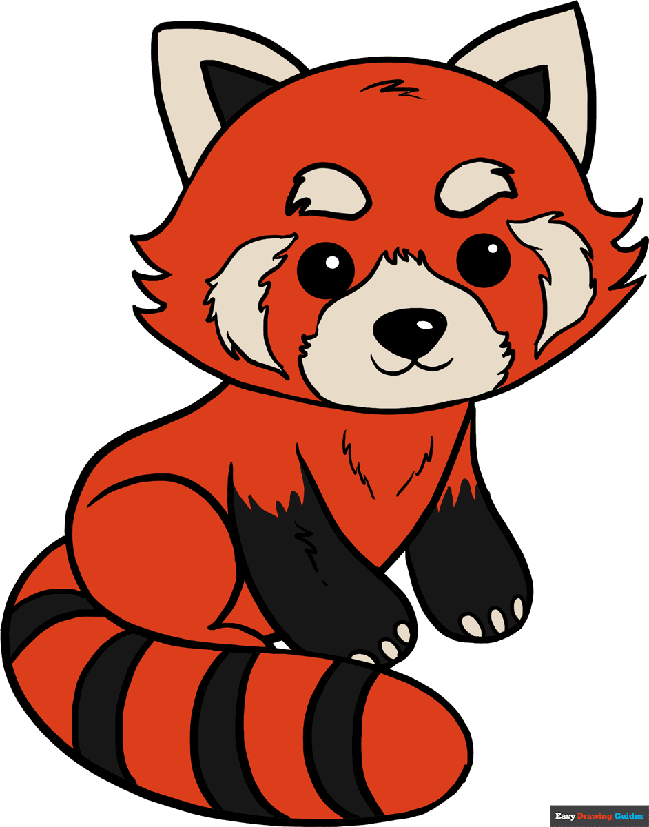 How to draw a red panda