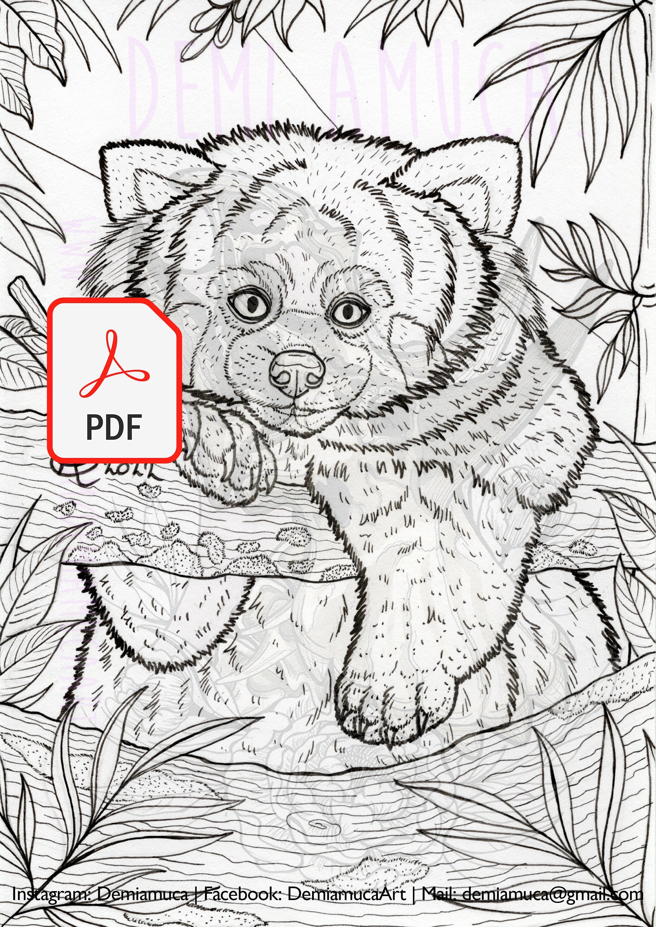 Coloring page red panda small panda fluffy adorable instant download
