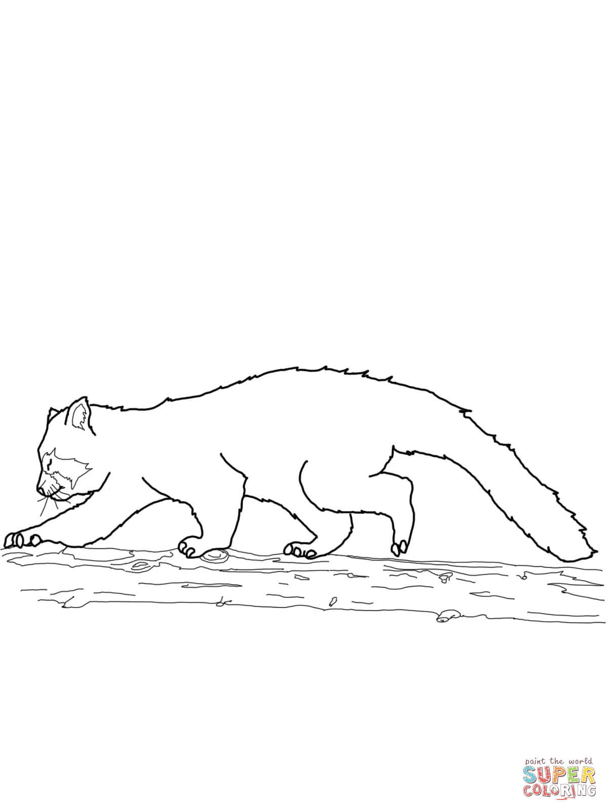 Red panda walking coloring page free printable coloring pages