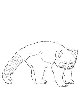 Cute red panda coloring page free printable coloring pages red panda panda coloring pages panda painting