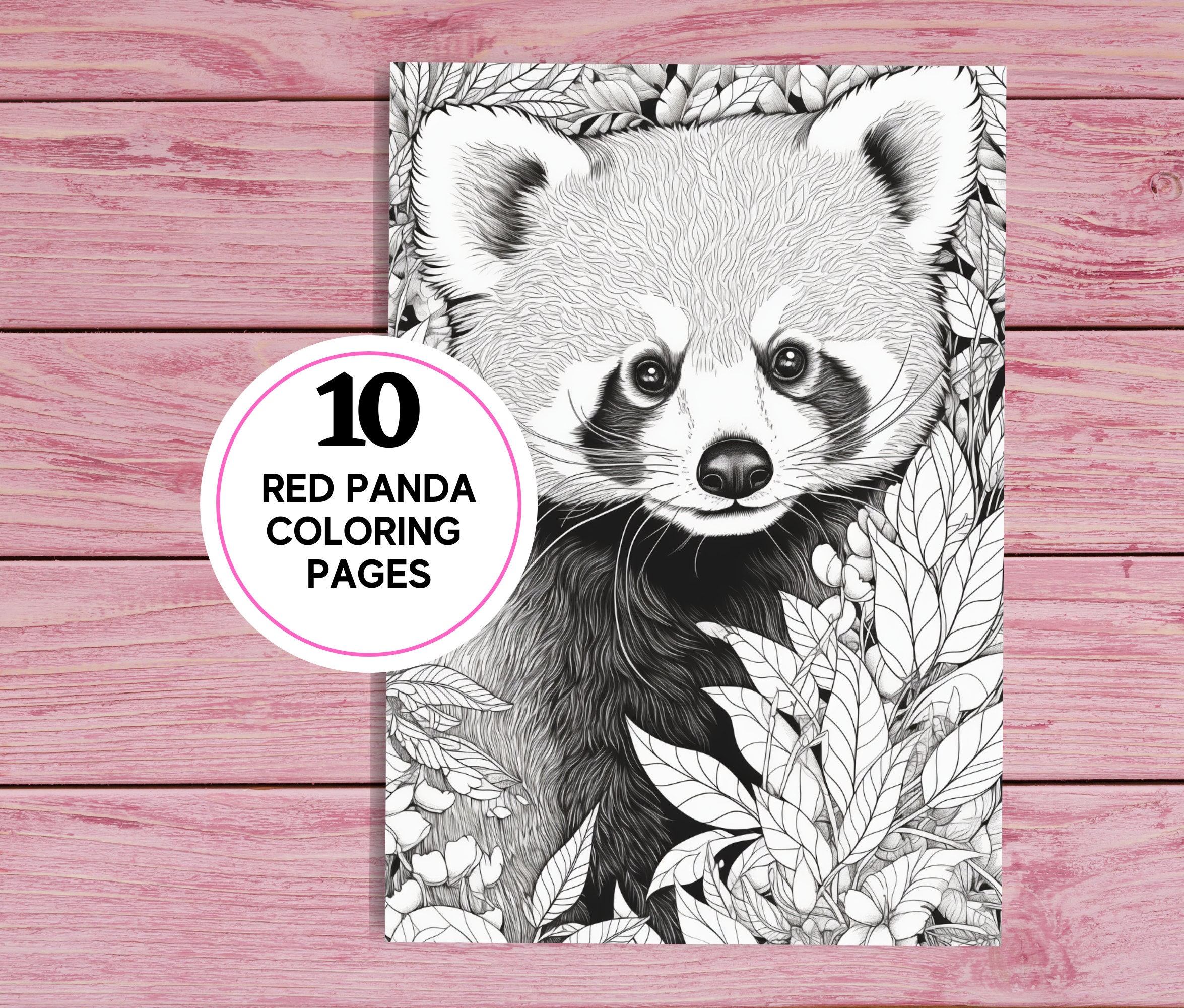 Red panda realistic coloring pages for kids and adults printable pdf pages a instant download greyscale colouring sheets download now