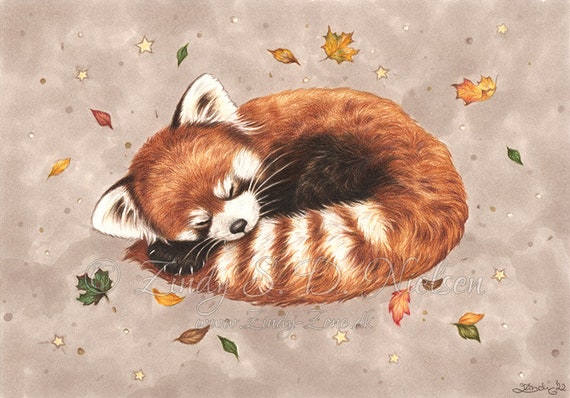 Buy dreaming red panda cute animal fantasy autumn leaf leaves stars grayscale coloring page zindy nielsen online in india