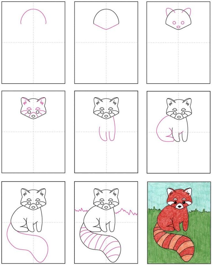 Easy how to draw a red panda tutorial and red panda coloring page art drawings for kids art for kids hub art lsons for kids