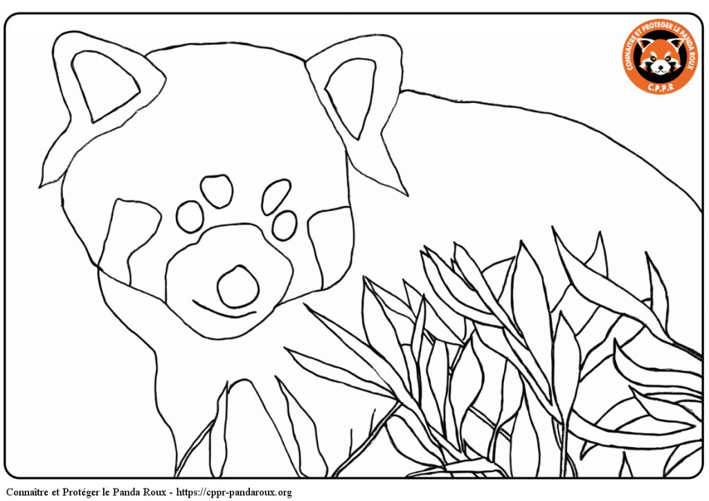 Coloriages â cppr