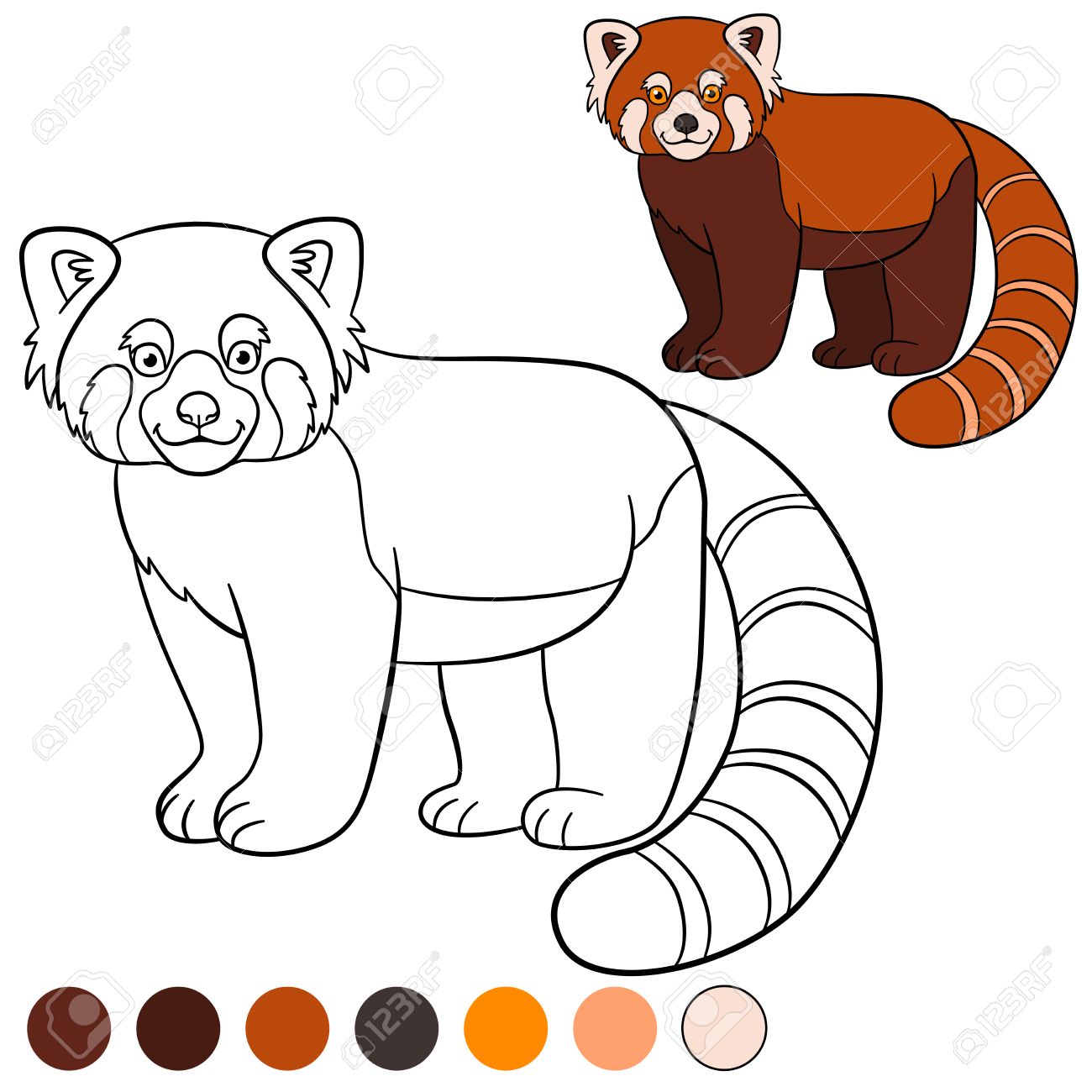 Coloring page red panda little cute red panda stands and smiles royalty free svg cliparts vectors and stock illustration image