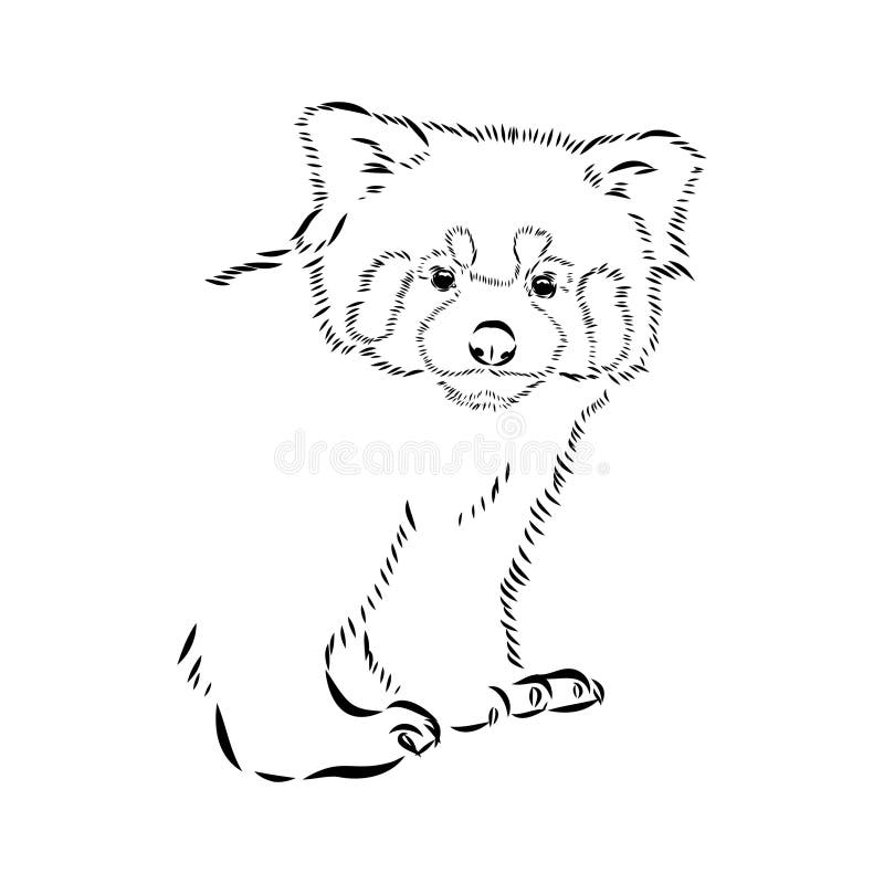 Red panda tattoo stock illustrations â red panda tattoo stock illustrations vectors clipart
