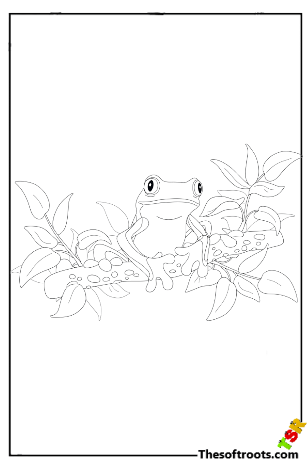 Frog coloring pages rkidscoloringpages