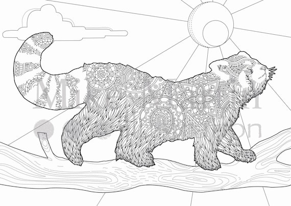 Printable red panda coloring page instant download adult coloring page