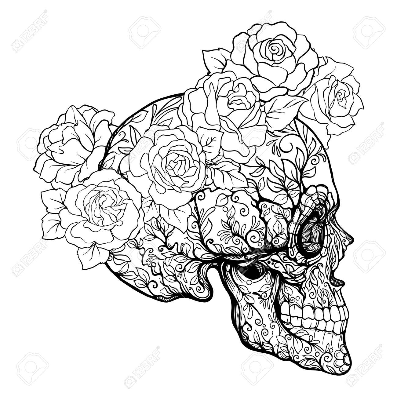 Sugar skull with decorative pattern and a wreath of red roses stock line vector illustration outline hand drawing coloring page for adult coloring book royalty free svg cliparts vectors and stock illustration