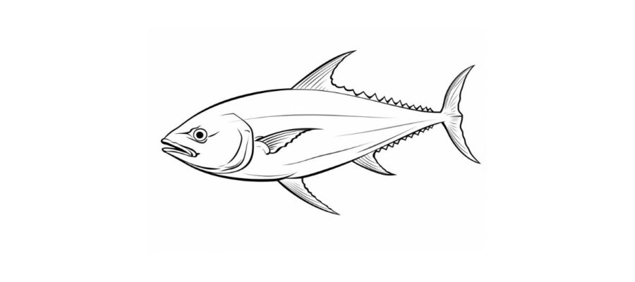 Fish coloring pages