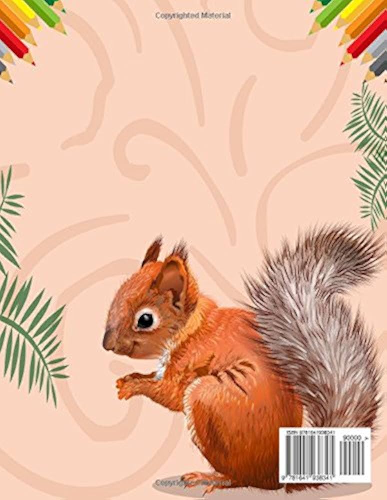 Squirrel coloring book a unique collection of coloring pages illustrations bold books