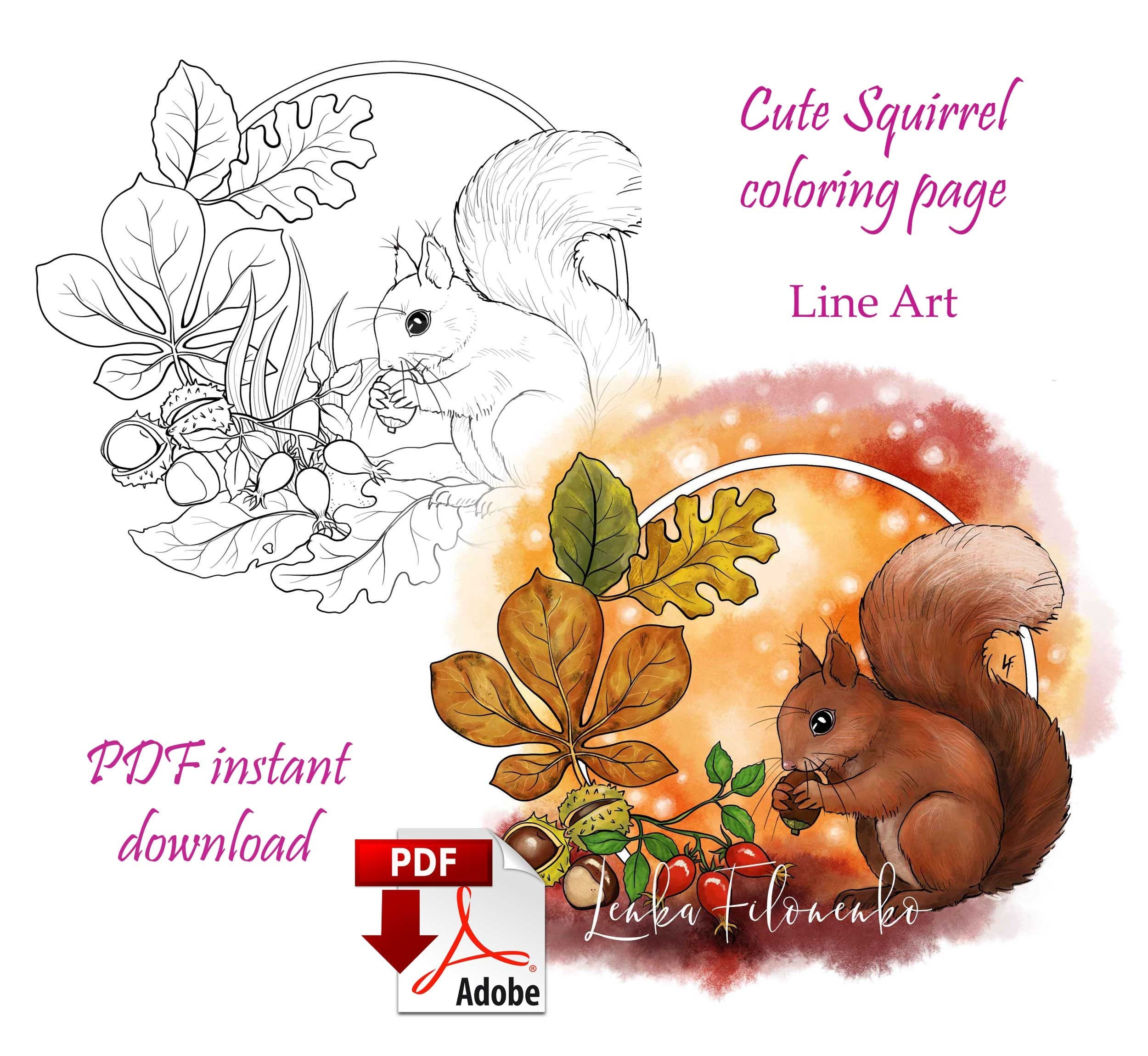 Coloring page line art cute squirrel autumn fall pdf download and print
