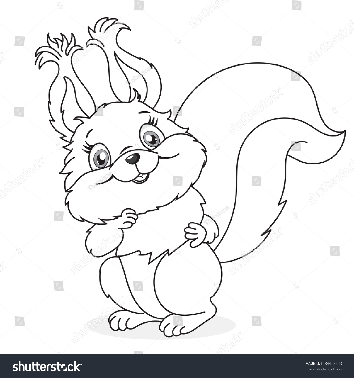 Red squirrel little squirrel beautiful squirrel stock vector royalty free
