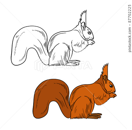 Illustration for a coloring book in color and