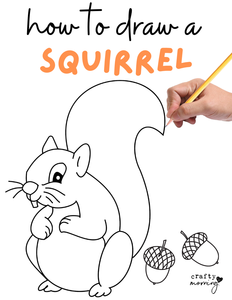 How to draw a squirrel easy step by step