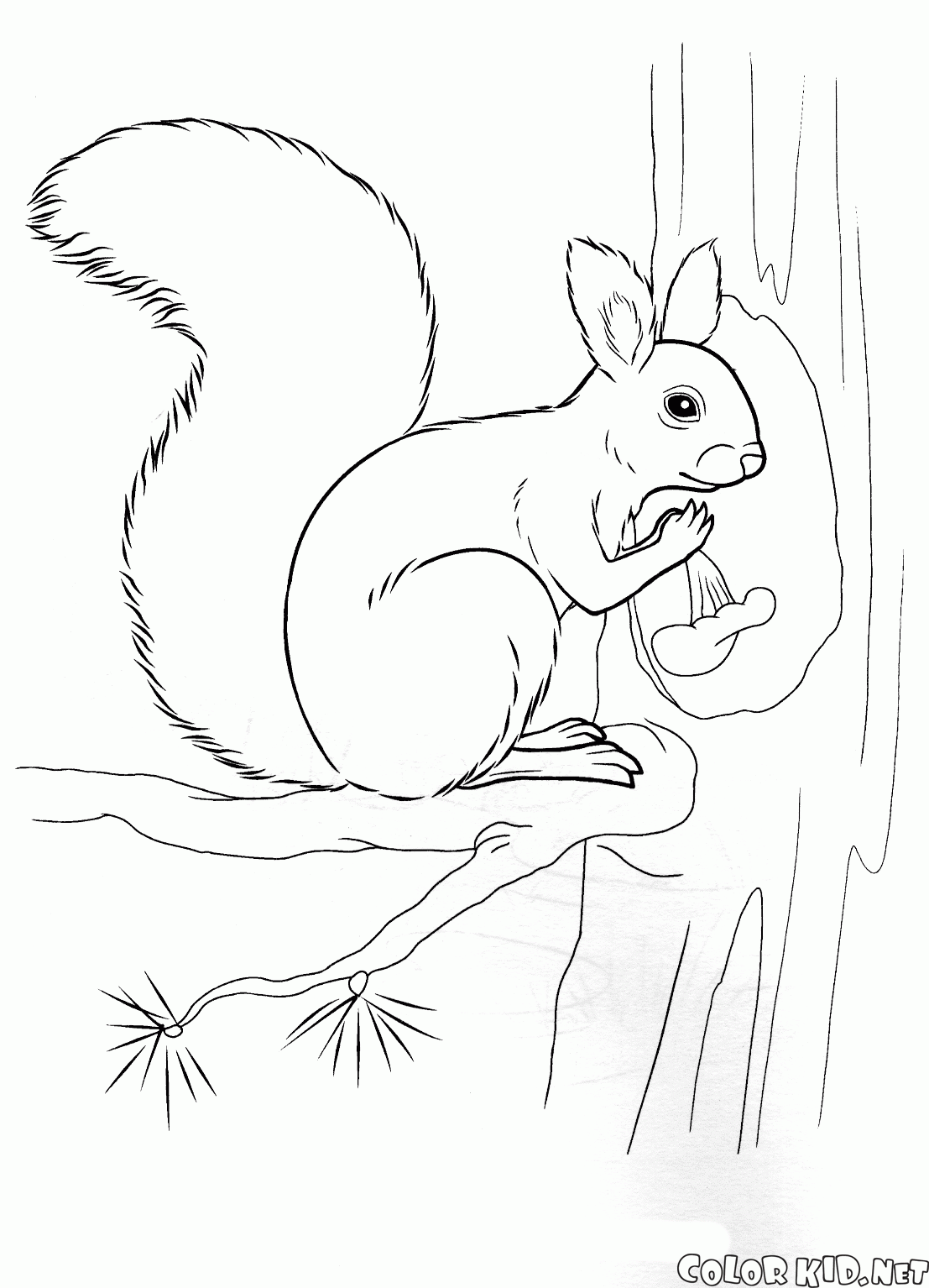 Coloring page