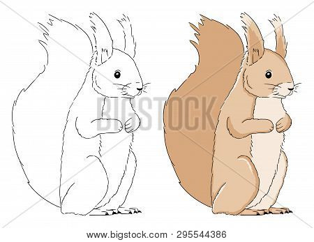 Coloring book page vector photo free trial bigstock
