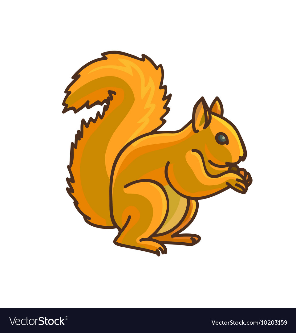 Red squirrel cartoon drawing royalty free vector image